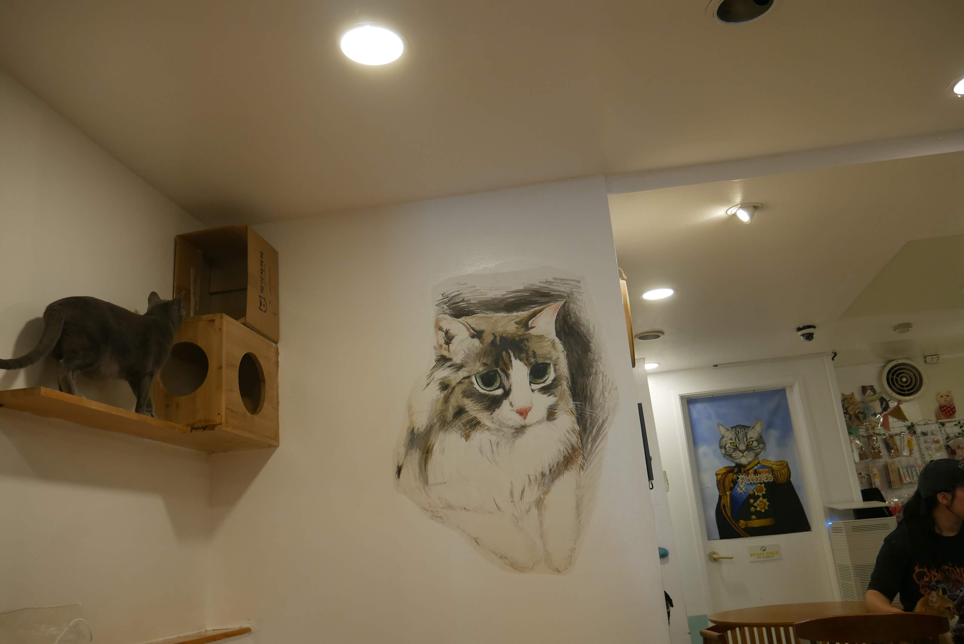 Cat mural